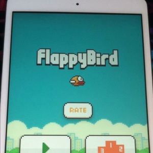 I pad mini 4 with Flappy Bird